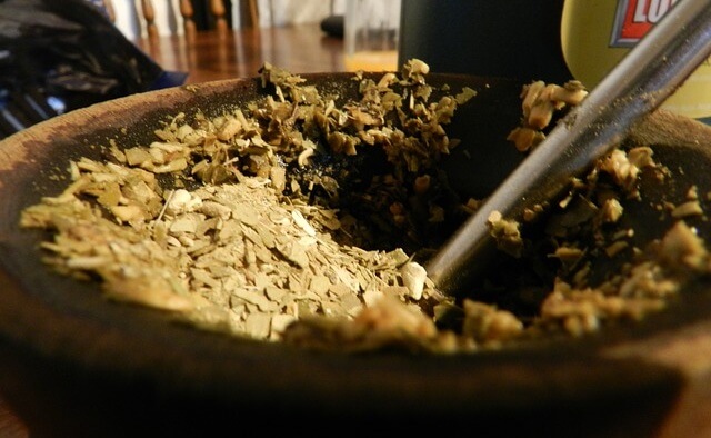 Yerba mate
